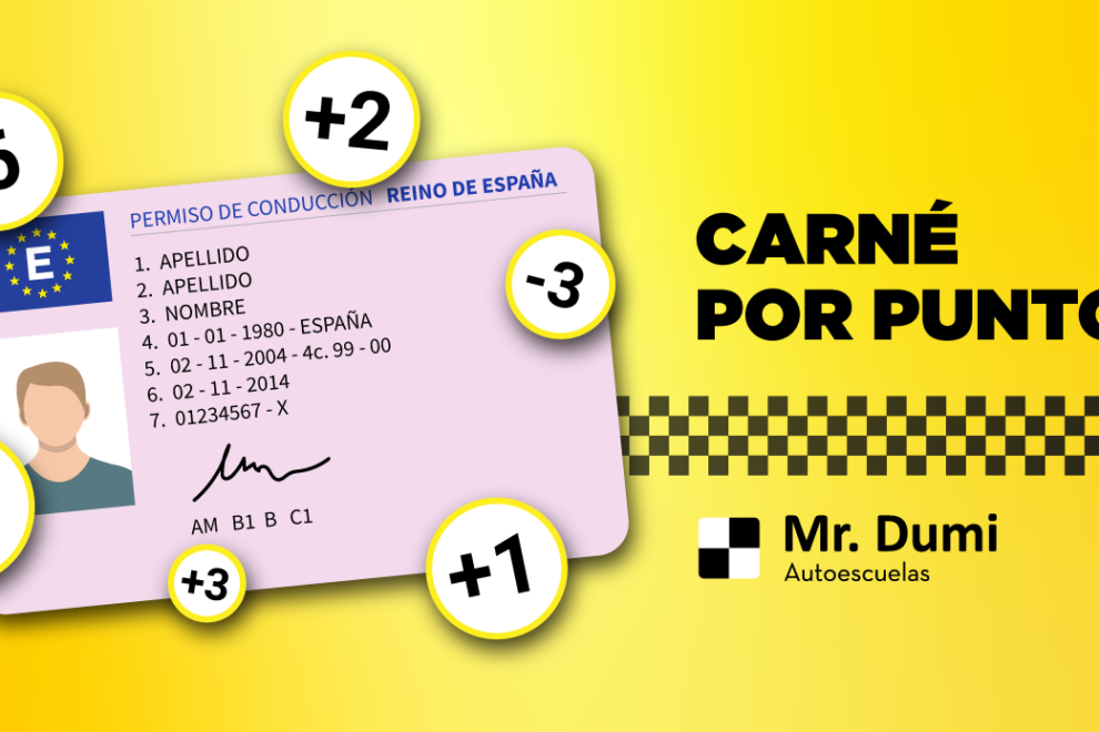 carnet por puntos - todo lo que necesitas saber