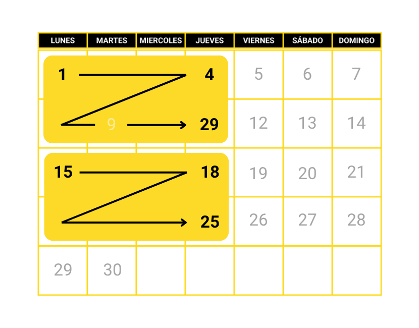 curso intensivo conducir 8 días