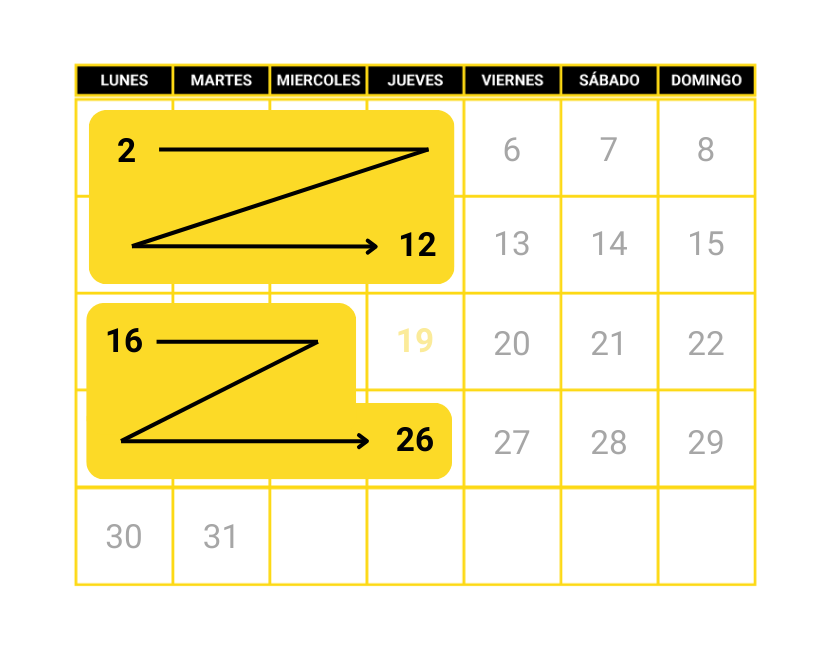 curso intensivo conducir 8 días