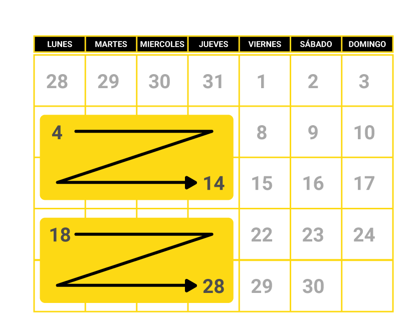 Curso intensivo teórico de conducir 8 días