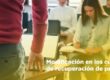 Cambios en los cursos de recuperación de puntos